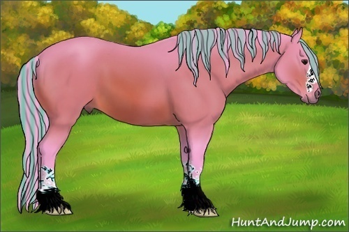 Horse Color:Painted Watercolor Bay 