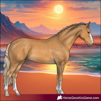Horse Color:Palomino
