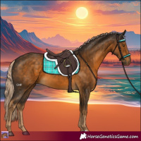 Horse Color:Chocolate Palomino 