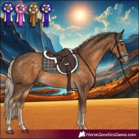 Horse Color:Chocolate Palomino 