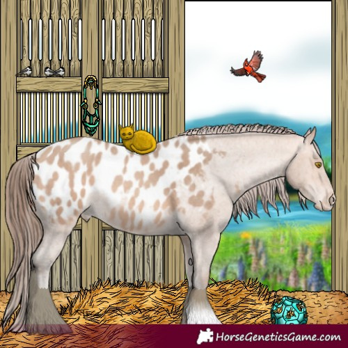 Horse Color:Amber Champagne Roan Near Leopard 