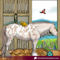 Horse Color:Amber Champagne Roan Near Leopard 