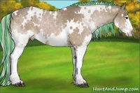 Horse Color:Painted White Spotted Silver Bay Splash 