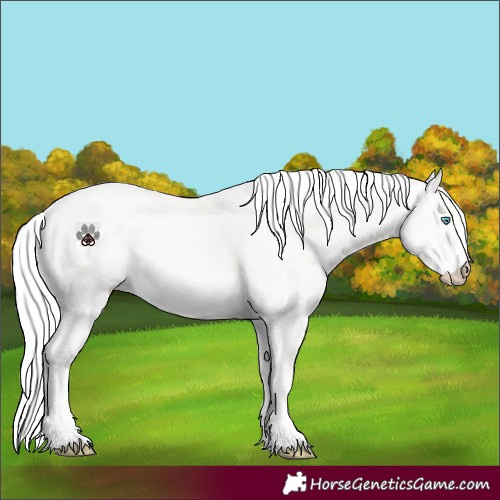 Horse Color:Cremello Tobiano