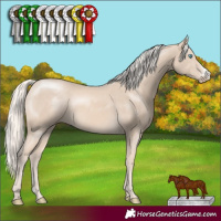 Horse Color:Cremello Sabino