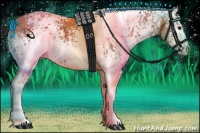 Horse Color:White Spotted Bay 