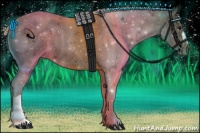 Horse Color:Silver Brown 