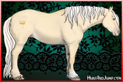 Horse Color:Silver Amber Cream Champagne Dun 