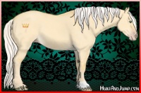 Horse Color:Silver Amber Cream Champagne Dun