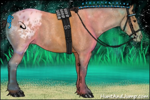 Horse Color:Bay Roan Varnish 