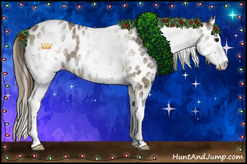 Horse Color:White Spotted Smoky Grullo Splash Appaloosa 