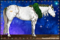 Horse Color:White Spotted Smoky Grullo Splash Appaloosa 