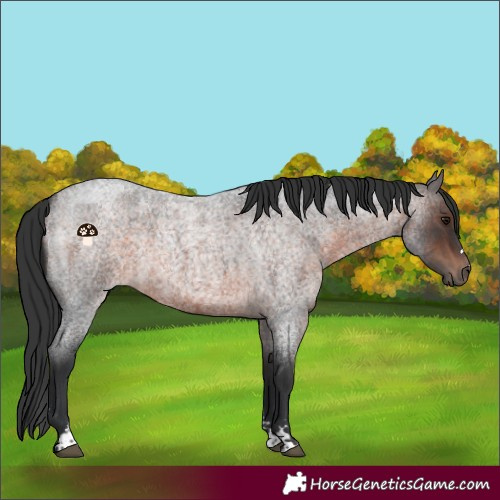 Horse Color:Brown Roan Mushroom