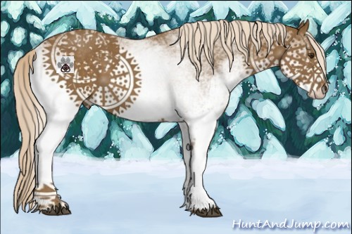 Horse Color:White Spotted Chocolate Palomino