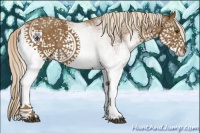 Horse Color:White Spotted Chocolate Palomino