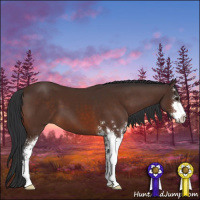 Horse Color:Brown Sabino