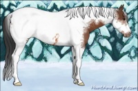 Horse Color:Bay Tobiano Frame Blanket