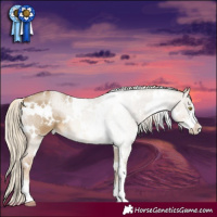 Horse Color:White Spotted Chocolate Palomino Dun Sabino 