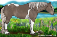 Horse Color:Silver Black Tobiano