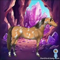 Horse Color:White Spotted Buckskin 