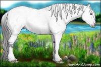 Horse Color:Gray Black Tobiano 