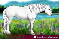 Horse Color:Gray Silver Black Sabino 