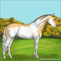 Horse Color:Palomino Splash Frame 