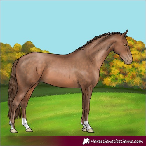 Horse Color:Brown Pearl 