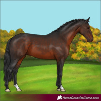 Horse Color:Brown 