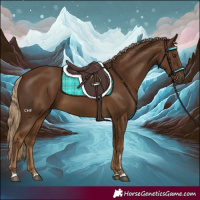 Horse Color:Chocolate Palomino 