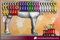 Horse Color:Silver Smoky Creme Dun Sabino Varnish