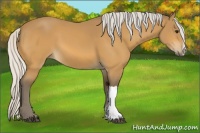 Horse Color:Silver Buckskin 