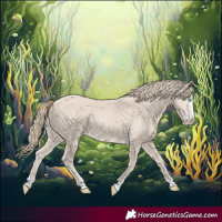Horse Color:Smoky Creme Rabicano