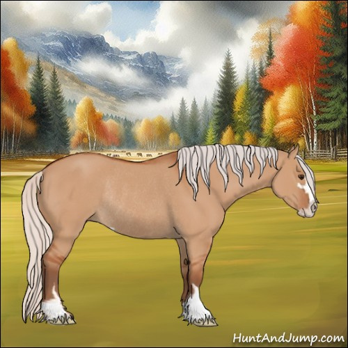 Horse Color:Silver Bay Dun Sabino Rabicano 
