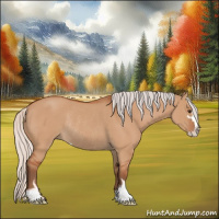 Horse Color:Silver Bay Dun Sabino Rabicano 