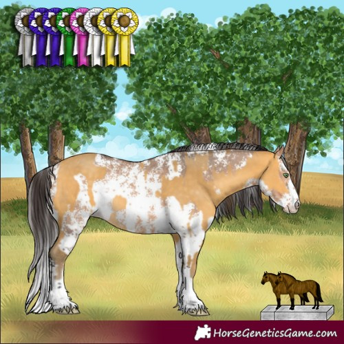 Horse Color:Amber Cream Champagne  and Bay Dun Sabino Rabicano 