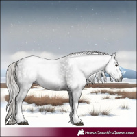 Horse Color:Gray White Spotted Silver Brown 