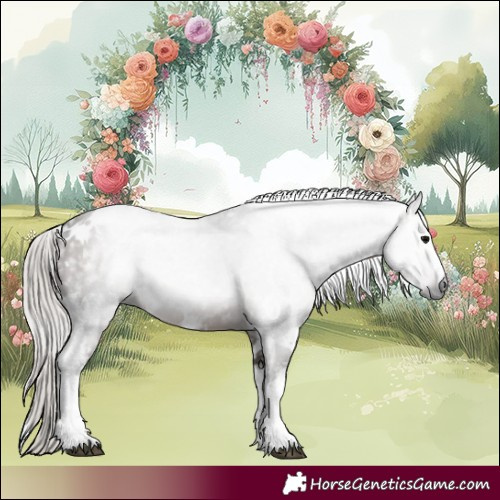 Horse Color:Gray White Spotted Silver Black 