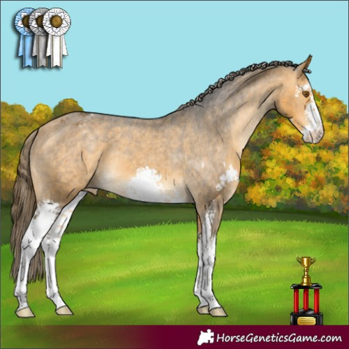 Horse Color:Buckskin Sabino Varnish 