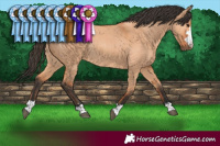 Horse Color:Bay Dun Rabicano 