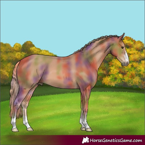 Horse Color:Nacre Chestnut 