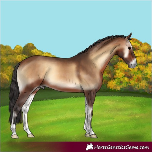 Horse Color:Brown Onyx 