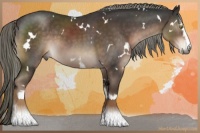Horse Color:White Spotted Liver Chestnut Mushroom