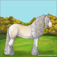 Horse Color:Silver Sable Cream Champagne Dun Tobiano 