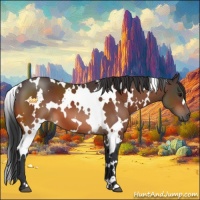 Horse Color:White Spotted Bay 