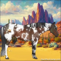Horse Color:White Spotted Bay 