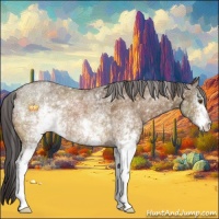 Horse Color:White Spotted Buckskin