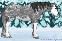 Horse Color:Blue Ice Roan Splash 