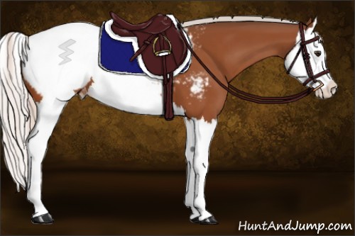 Horse Color:Silver Bay Splash Appaloosa 