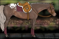 Horse Color:Silver Black Appaloosa